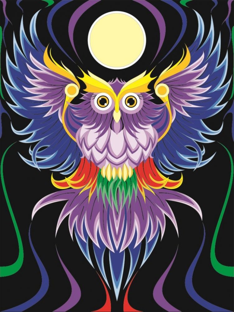 Картина по номерам "Сова" | Paint by Numbers "Owl"