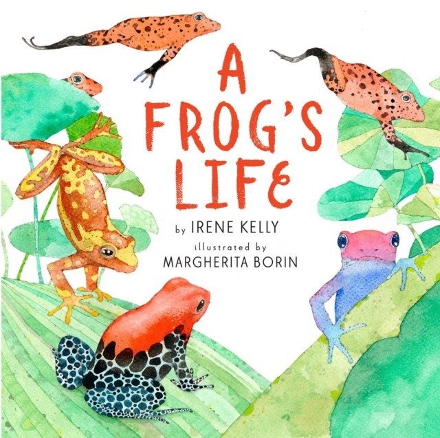 A Frog's Life | A Frog's Life