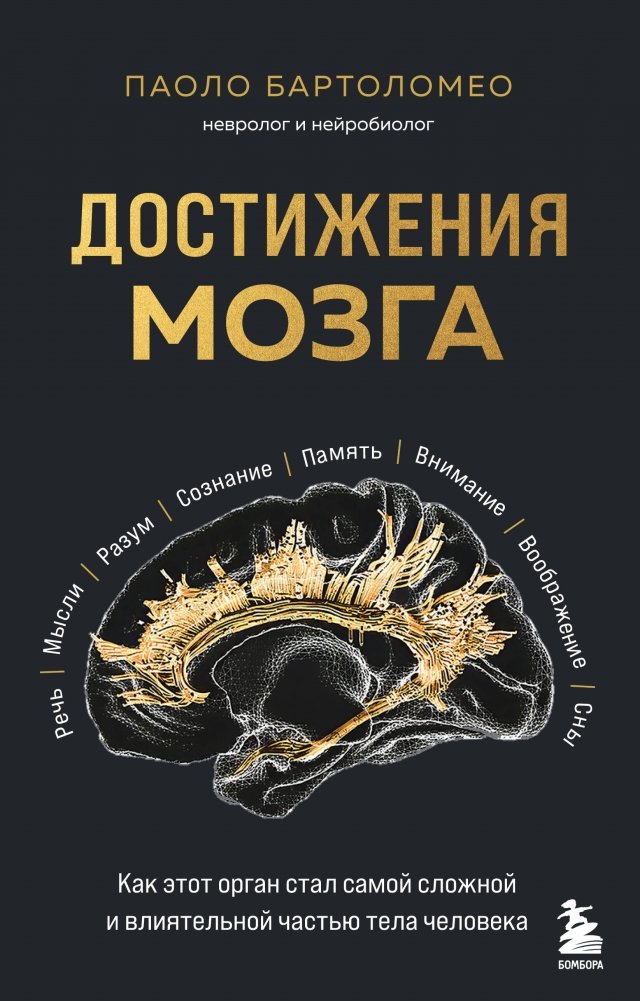 Достижения мозга. Как этот орган стал самой сложной и влиятельной частью тела человека | Brain Achievements: How This Organ Became the Most Complex and Influential Part of the Human Body