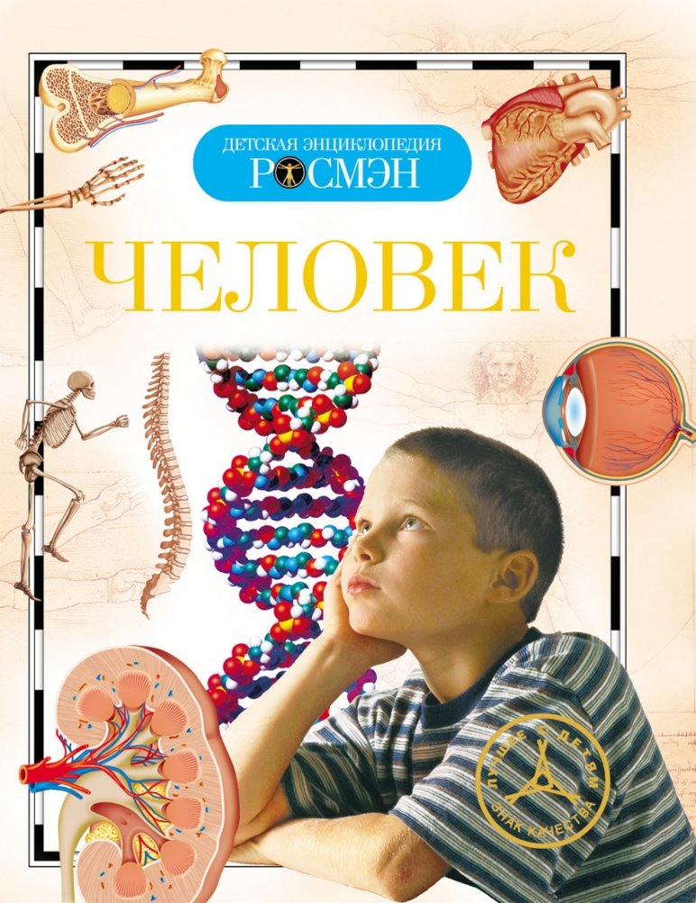 Человек | The Human Body