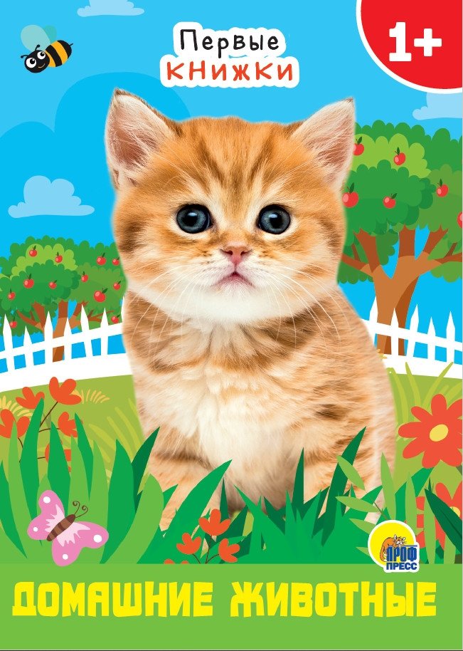 Домашние животные | Domestic Animals