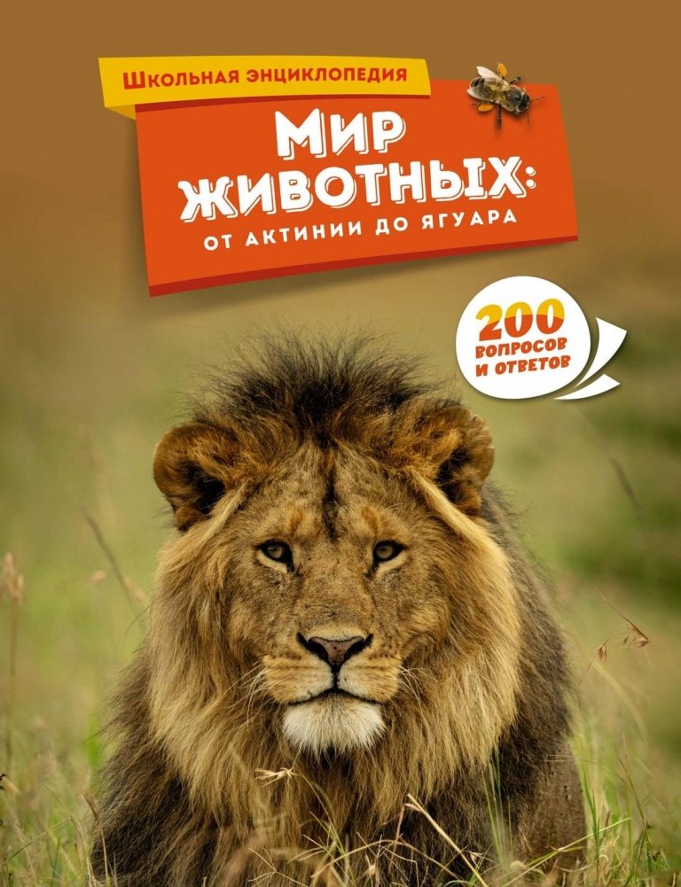 Мир животных: от актинии до ягуара | The World of Animals: From Anemone to Jaguar