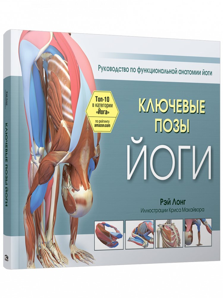 Ключевые позы йоги | Key Yoga Poses