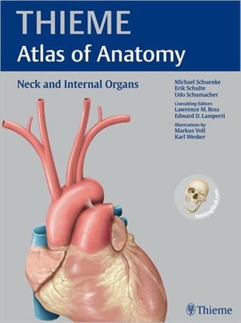 Шея и внутренние органы (Атлас анатомии THIEME) | Neck and Internal Organs (THIEME Atlas of Anatomy)