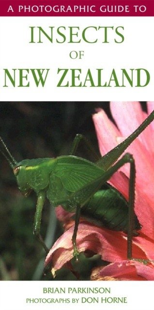 Photographic guide to insects of new zealand | Photographic Guide to New Zealand Insects