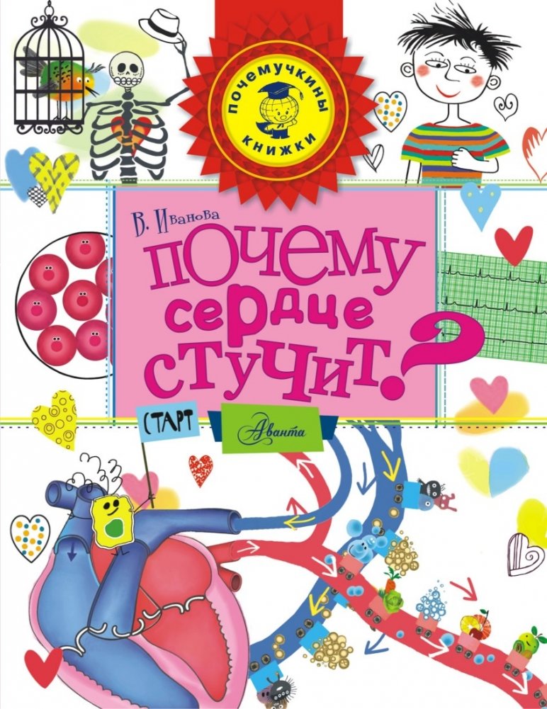 Почему сердце стучит? | Why Does the Heart Beat?