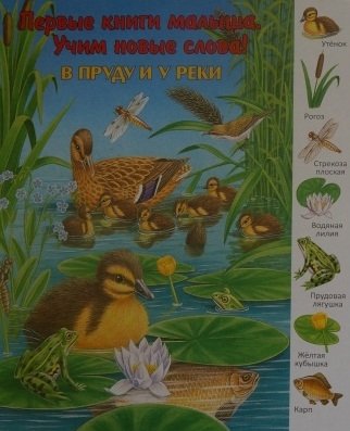 В пруду и у реки | At the Pond and by the River