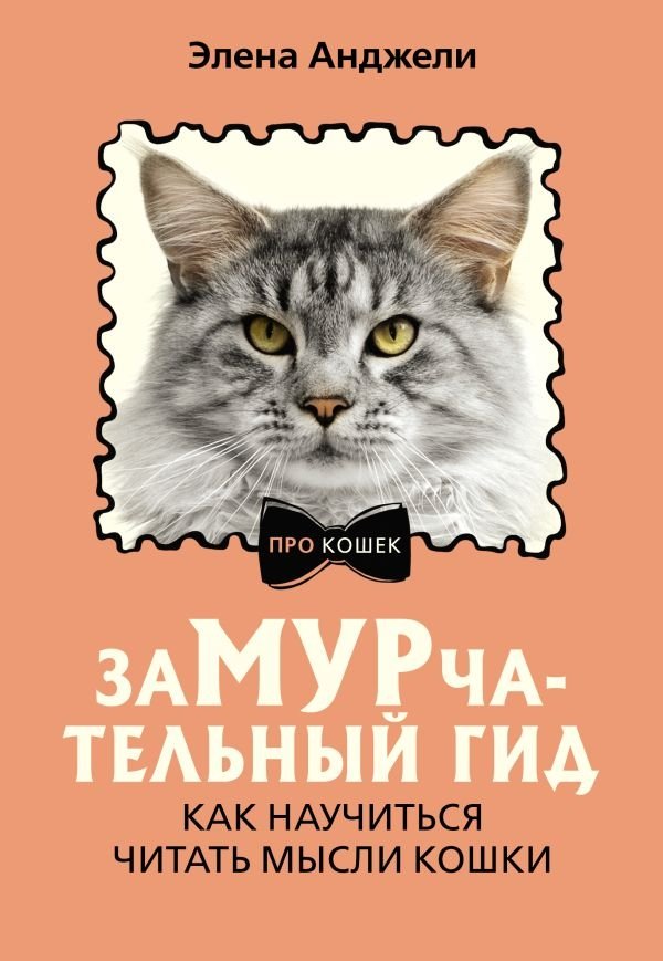 ЗаМУРчательный гид. Как научиться читать мысли кошки | A Purrfect Guide: Learning to Read Your Cat's Mind