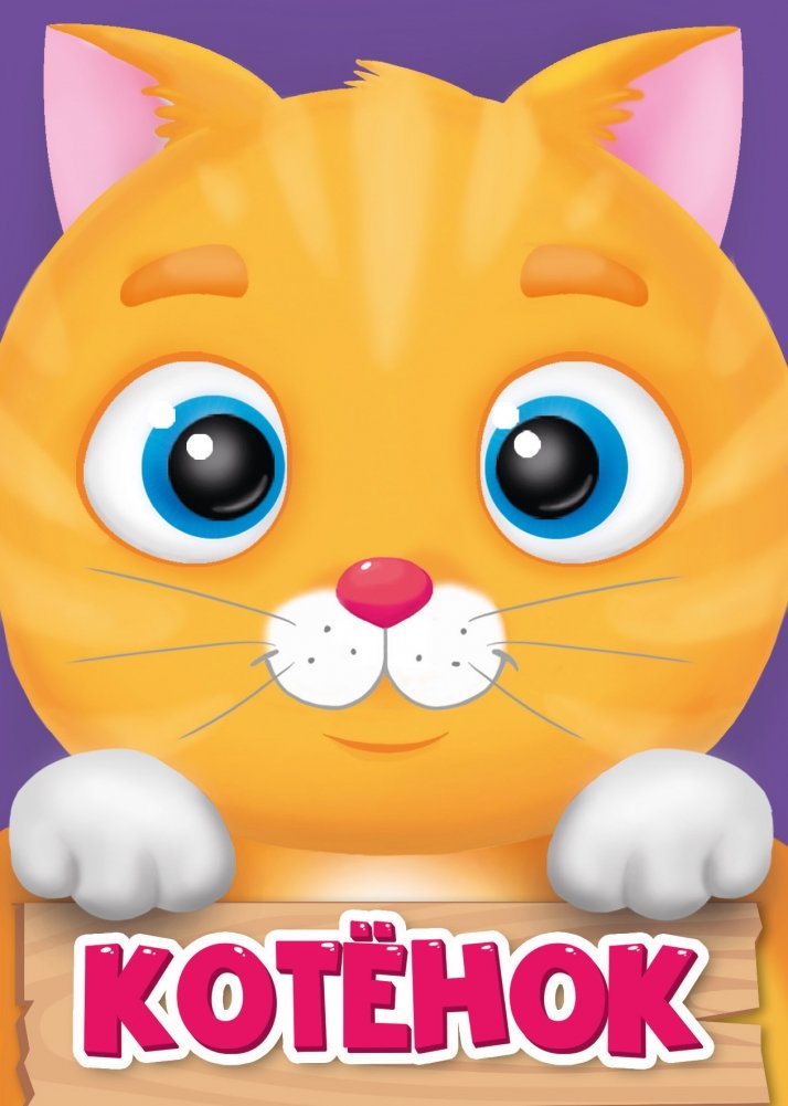 Котёнок | Kitten