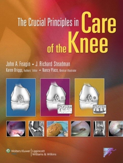 The Crucial Principles in Care of the Knee | Crucial Principles in Knee Care