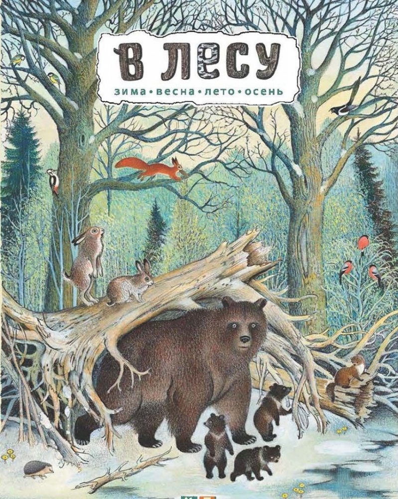 В лесу | In the Forest