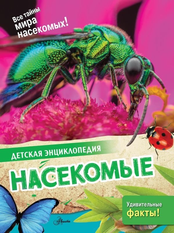 Насекомые | Insects