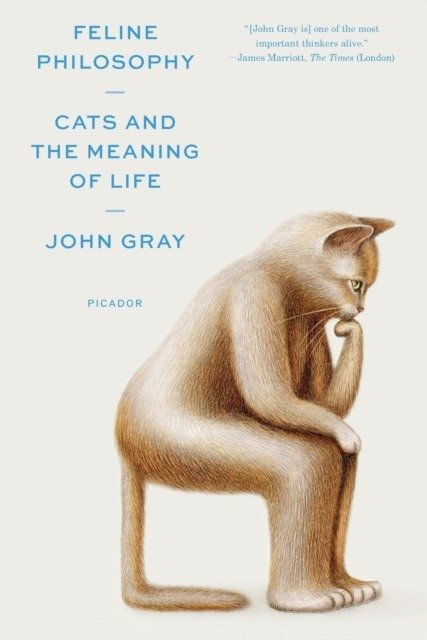 Feline Philosophy: Cats and the Meaning of Life | Feline Philosophy: Cats and the Meaning of Life