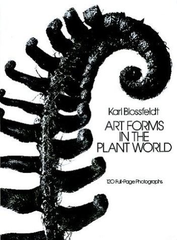 Art Forms in the Plant World: 120 Full-Page Photographs | Art Forms in the Plant World: 120 Full-Page Photographs