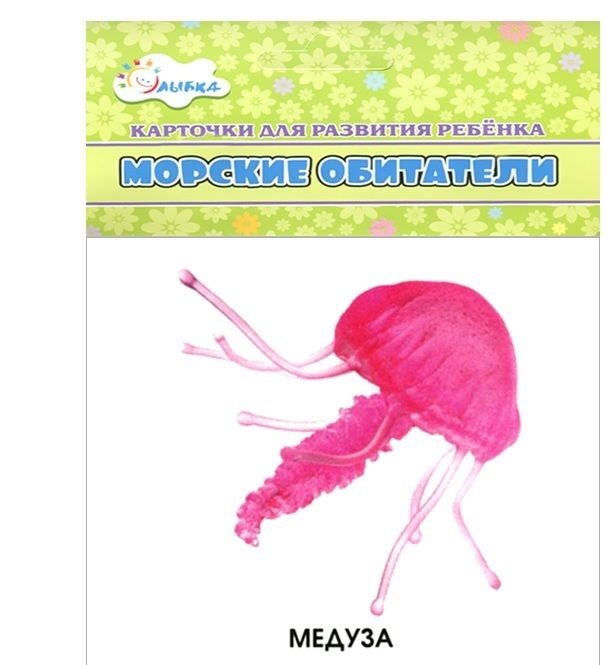 Морские обитатели (набор из 12 карточек) | Marine Inhabitants (Set of 12 Cards)