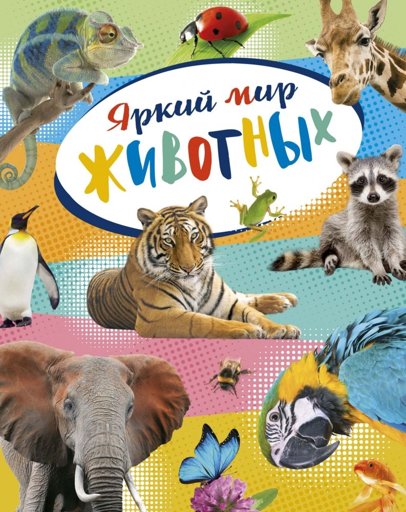 Яркий мир животных | The Vibrant World of Animals