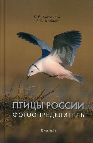 Птицы России. Фотоопределитель | Birds of Russia: A Photo Guide