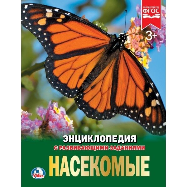 Насекомые | Insects