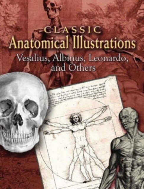 Классические анатомические иллюстрации | Classic Anatomical Illustrations