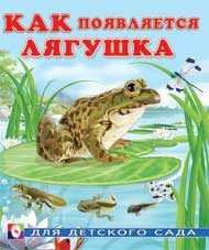 Как появляется лягушка | How a Frog Appears