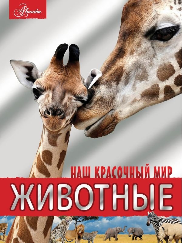 Животные | Animals