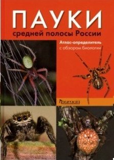 Пауки средней полосы России | Spiders of Central Russia