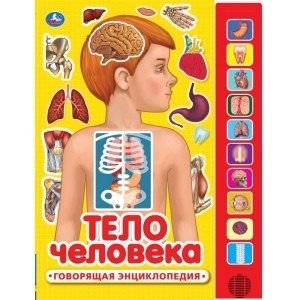 Тело человека. 10 звуковых кнопок | Human Body: 10 Sound Buttons