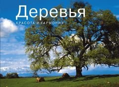 Деревья. Красота и гармония | Trees: Beauty and Harmony