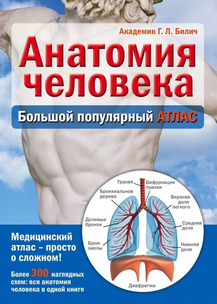 Анатомия человека. Большой популярный атлас | Human Anatomy: A Large Popular Atlas