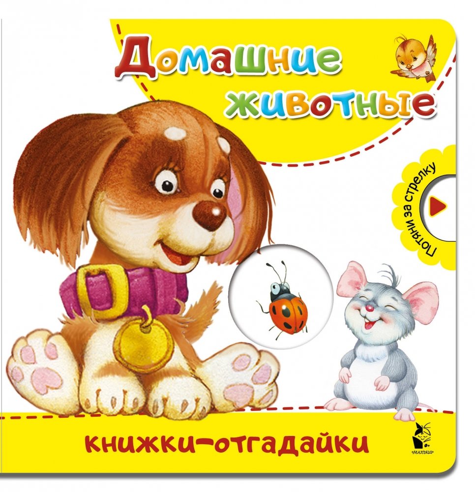 Домашние животные | Domestic Animals