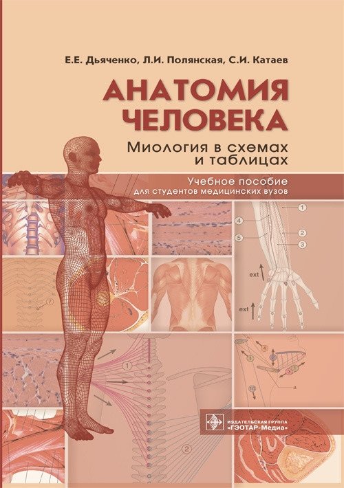 Анатомия человека. Миология в схемах и таблицах | Human Anatomy: Myology in Diagrams and Tables