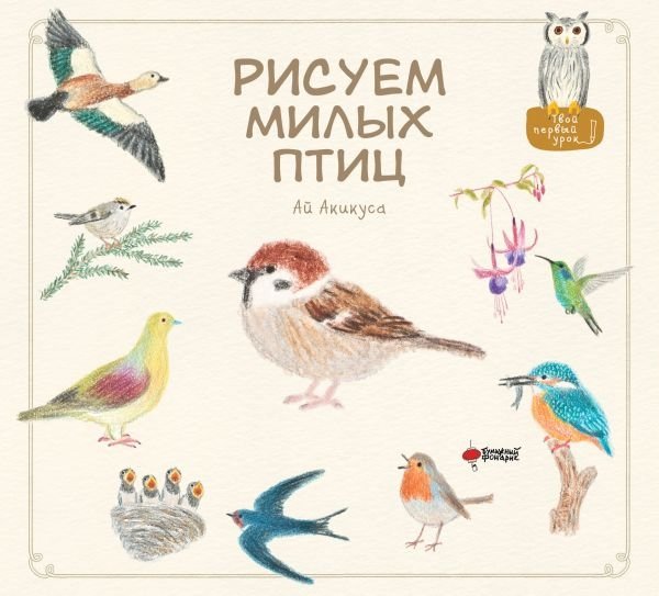 Рисуем милых птиц | Drawing Cute Birds