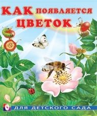 Как появляется цветок | How a Flower Appears