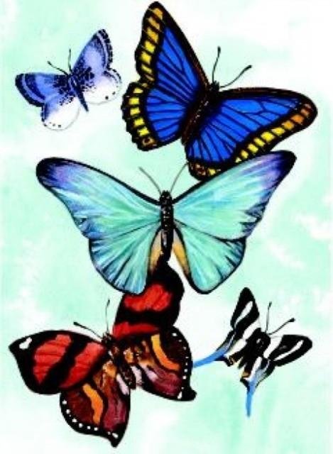 Butterfly Notebook | Butterfly Notebook