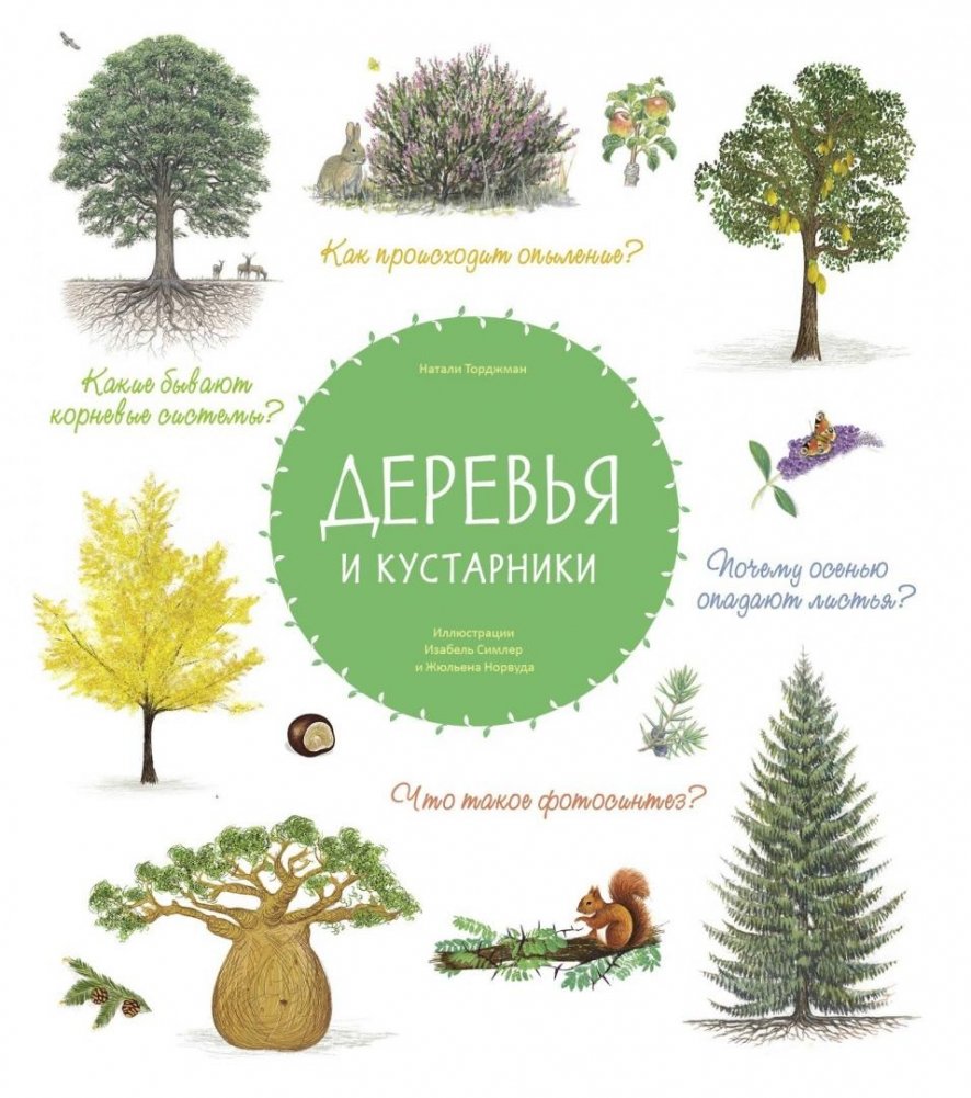 Деревья и кустарники | Trees and Shrubs