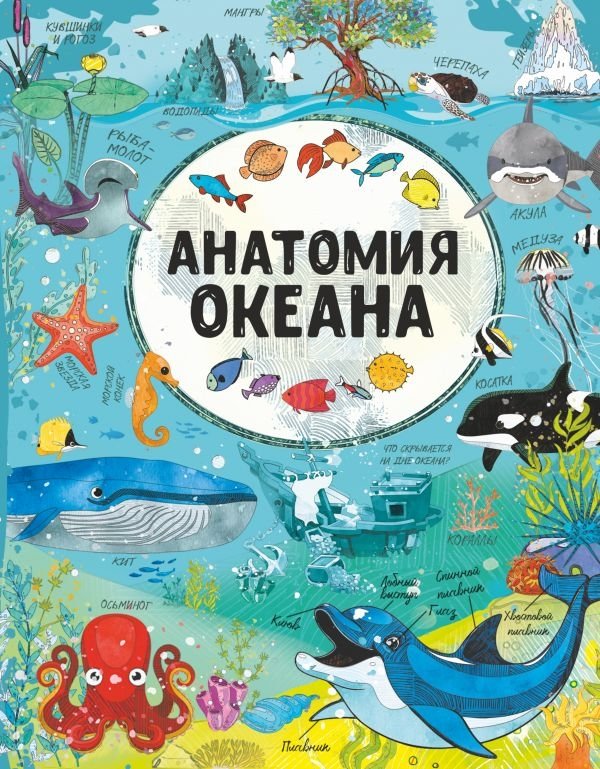 Анатомия океана | Anatomy of the Ocean