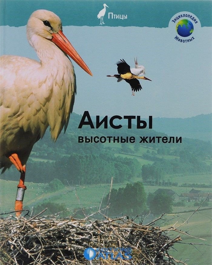 Аисты. Высотные жители | Storks: High-Rise Dwellers