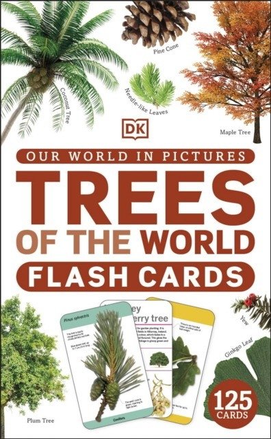 Our World in Pictures: Trees Flash Cards