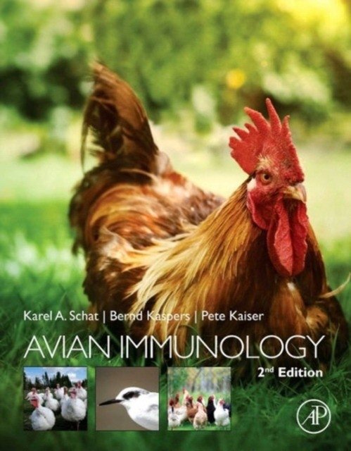 Avian Immunology | Avian Immunology