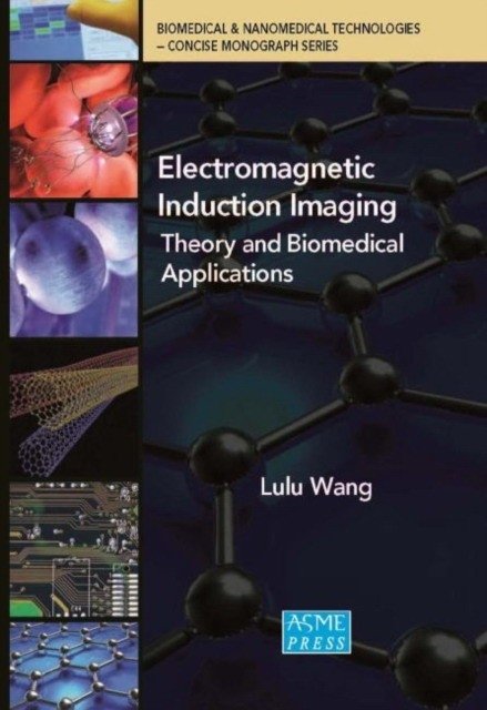 Electromagnetic induction imaging : | Electromagnetic Induction Imaging