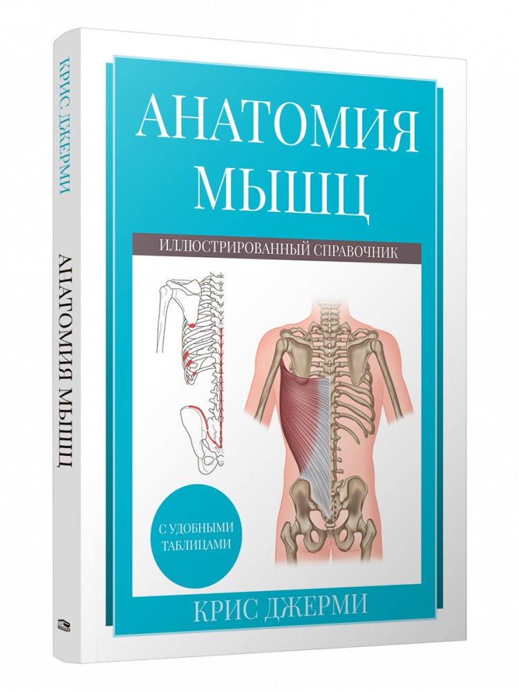 Анатомия мышц. Иллюстрированный справочник | Anatomy of Muscles: An Illustrated Handbook