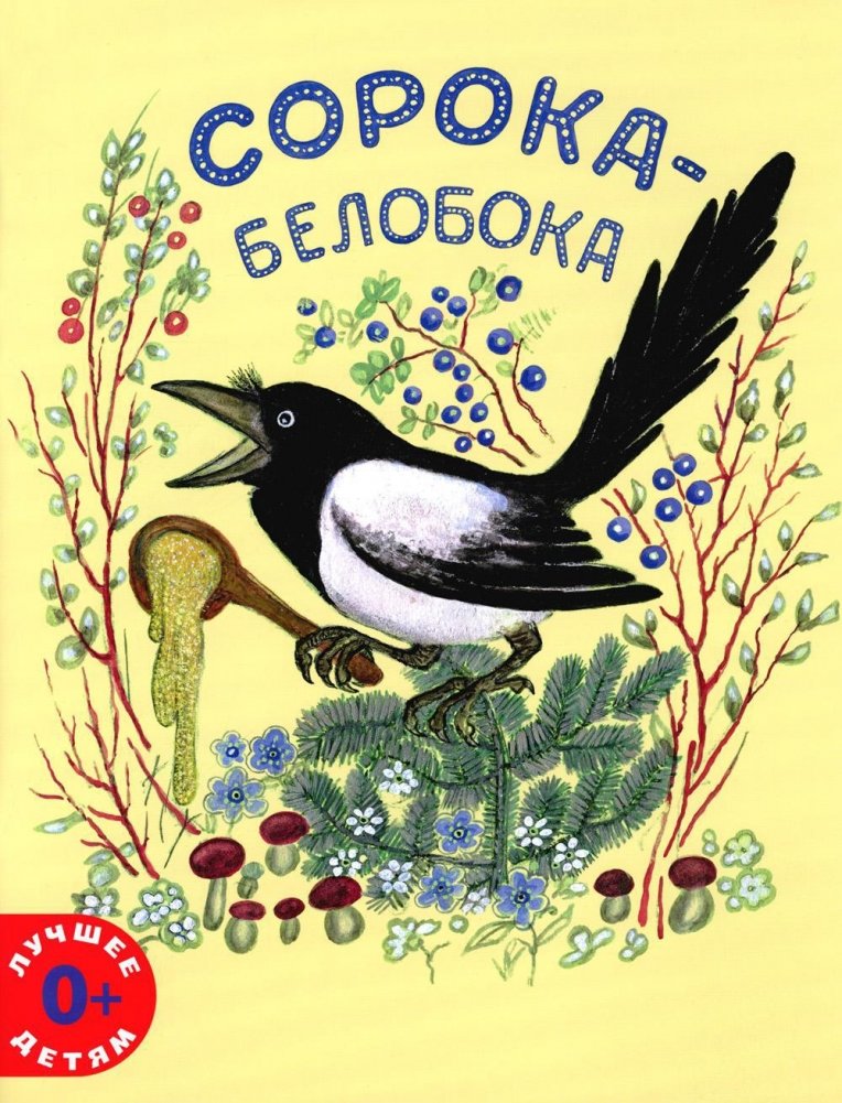 Сорока-белобока | Magpie White-Side