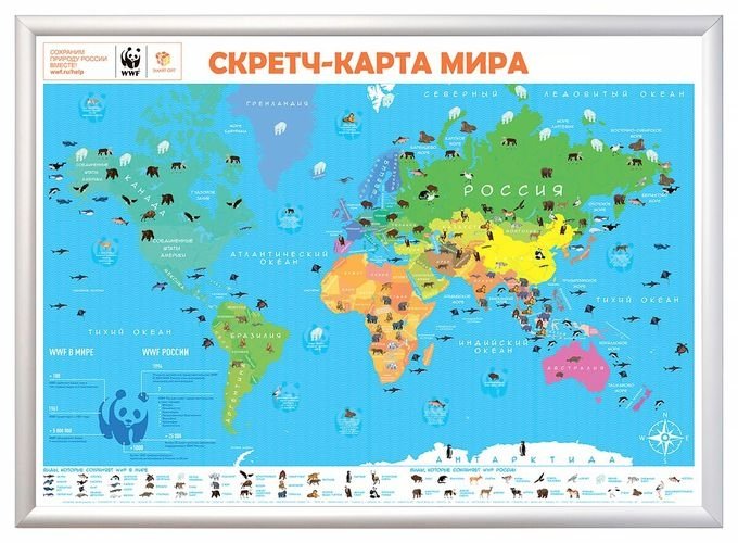 Скретч-карта мира А1 "WWF. Orange Edition" | WWF. Orange Edition A1 Scratch World Map