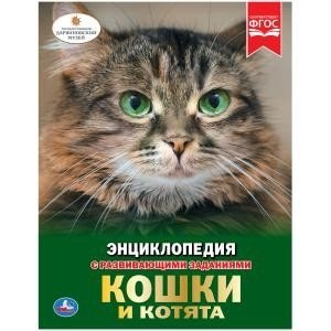 Кошки и котята