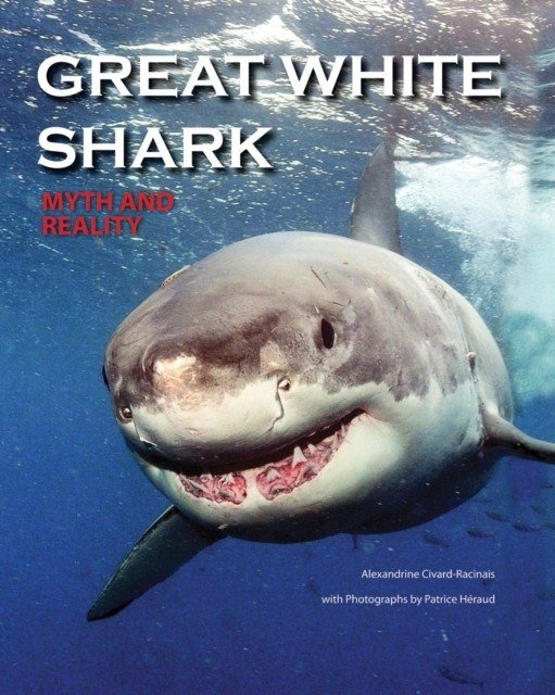Большая белая акула: Миф и реальность | Great White Shark: Myth and Reality