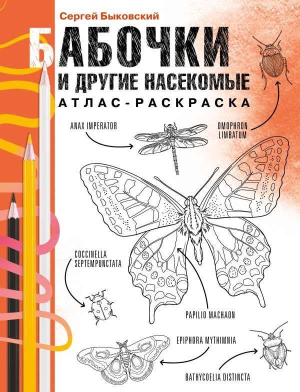 Бабочки и другие насекомые. Атлас-раскраска | Butterflies and Other Insects: Coloring Atlas