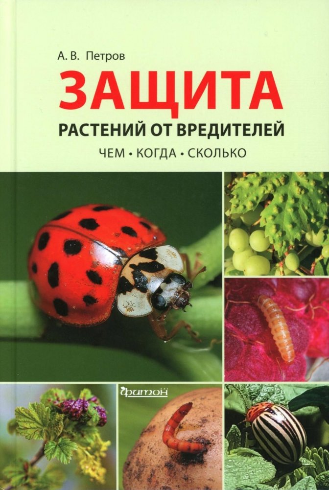 Защита растений от вредителей. Чем, когда, сколько | Plant Protection from Pests: What, When, How Much