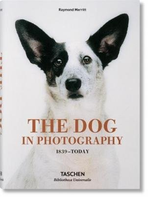 Собака в фотографии. 1839 – наши дни | The Dog in Photography: 1839 to Today