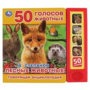 Лесные животные | Forest Animals