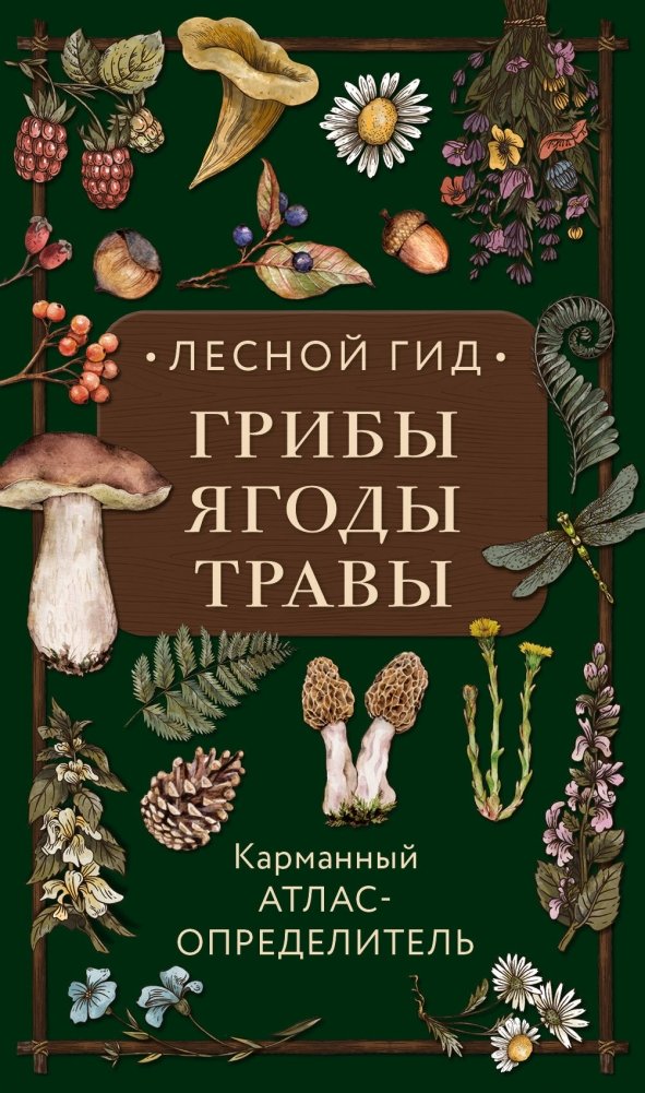 Лесной гид: грибы, ягоды, травы. Карманный атлас-определитель | Lesnoi gid: griby, iagody, travy. Karmannyi atlas-opredelitel'